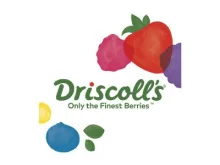 Driscolls